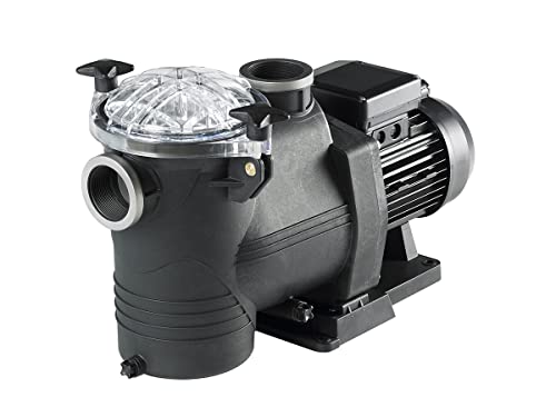 Pompe De Filtration Auto-amorçante 1 Cv - 15.5m3/h Mono - SE2N100MFLDFRA