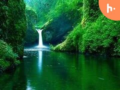 Episode 2 natures narrative