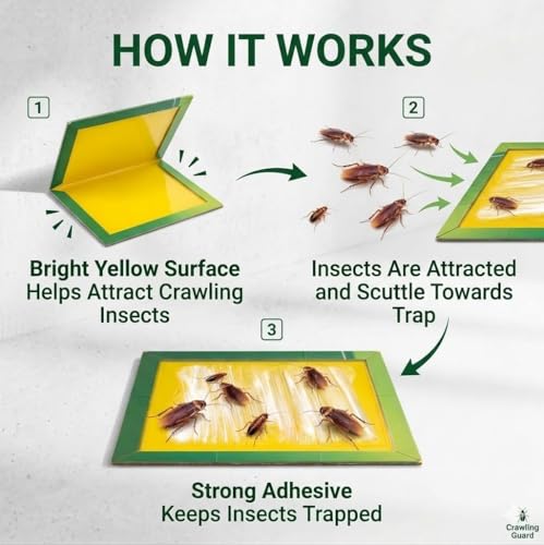 Image of Cockroach Trap for Kitchen, Sticky Insects Trap, Roach Trapp with Strong Glue Pads for Insects, Glue Traps Sticky Insects for Home, Kitchen & Indoor Pest Control