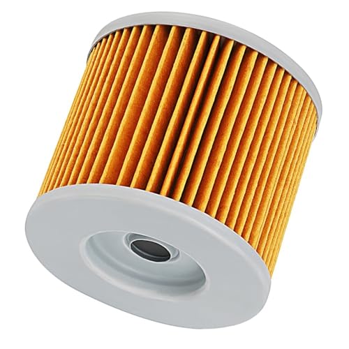 Filtre à huile pour moto Suzuki Gsf400 Bandit et Gs500 (pack de 2)