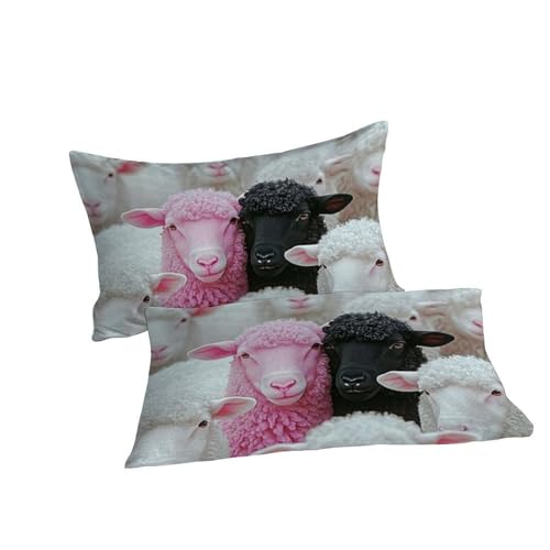 Housse de couette 200x200 cm imprimé 3D animaux en microfibre douce Frère Mouton