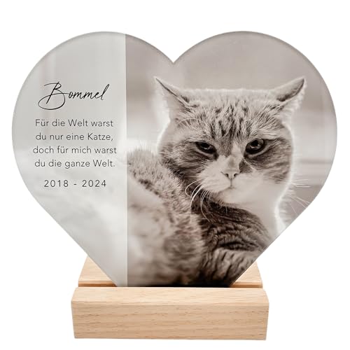 Gedenktafel Katze Andenken an verstorbene Katze Bild aus Acrylglas personalisiert zur Erinnerung & Trauer Glasherz mit Foto Geschenk für Katzenbesitzer inkl. Holzfuß 20x22 cm (Herz)