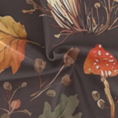 Fall Mushrooms Hedgehogs Cute Colored Cats Boys Swim Trunks Swimsuits for Toddler Boy Swim Shorts Trunks 3T-10T 5