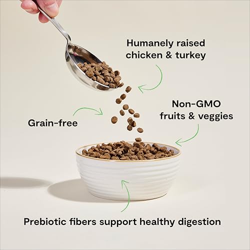 Open Farm, Grain Free Dry Cat Food, High-Protein Kibble for a Complete & Balanced Diet, Non-GMO Fruits & Vegetables, Prebiotic Fibers to Support Digestion, Homestead Turkey & Chicken Recipe, 8lb Bag | All Life Stages, High Protein, Prebiotic Fibers, 100% Traceable Ingredients, Non-GMO Fruits & Veggies. - Image 4