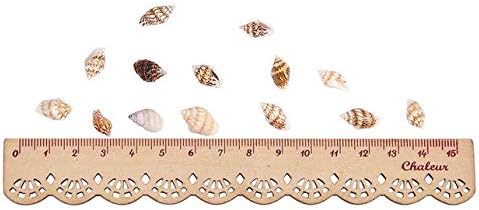 1300-1500pcs Shell Bead Tiny Sea Shells Ocean Beach Spiral Seashells Craft Charms for Home Decorations, Beach Theme Party, Candle Making Jewllery (1500)