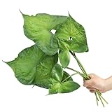 DuHouse Artificial Tropical Leaves with Long Stem–6 Pcs Real Touch Elephant Ear Taro Leaf Stems Faux Palm Monstera Greenery for Home Decor, Centerpiece, Wedding,Party Arrangement