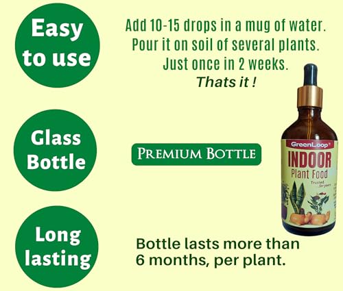 GreenLoop Indoor Plant Food - Liquid Food for Indoor Plants, One 100 ml Premium Glass bottle with dropper.
