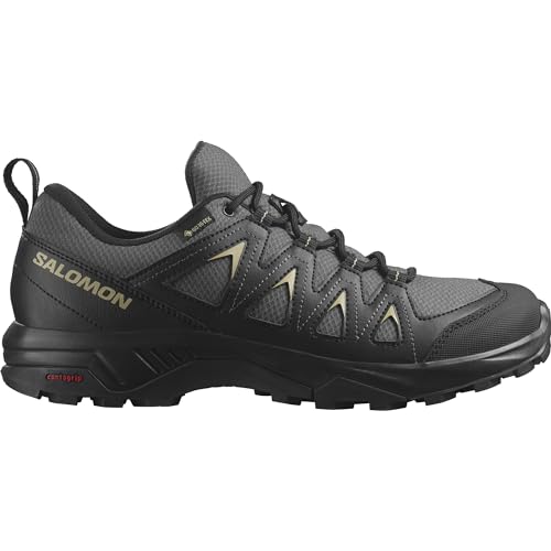 Salomon Men's X Braze GTX Hiking Shoe2