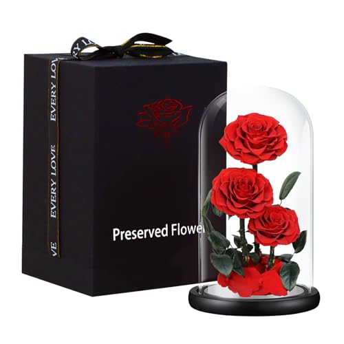 Selezione di 3 rose vere al 100%, utilizzando un processo speciale per garantire che ogni rosa sia nelle migliori condizioni, i rami di rosa e le rose sono trattati con un processo speciale per mantenere i fiori morbidi e vivaci. è privo di polline e profumi e non appassisce.