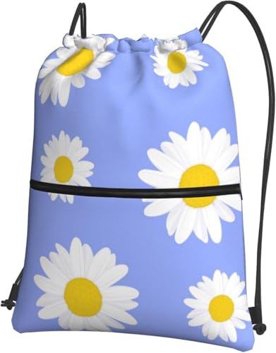 [ESASAV] t qiMN ԕ ibvTbN TbNpbN ̑ В w ւ 傫 jZbNX