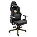 Dreamseat Xpression Gaming Chair with Interchangeable University of Minnesota Alternate Logo