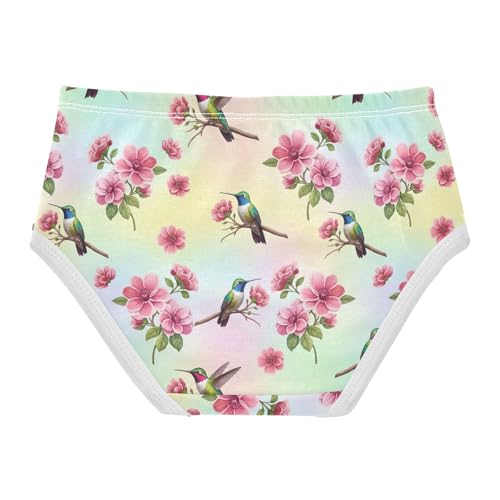Joisal Colorful Hummingbird Pink Flowers Girls Underwear Toddler 2t Cotton Panties for Girl Fun Undies Kids Briefs2