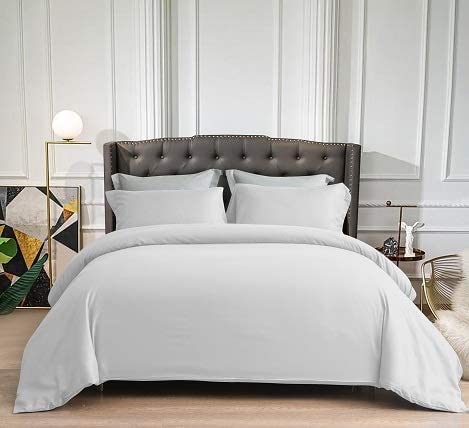 100% Pure Cotton 1 Piece Duvet Cover with Zipper Closure & Corner Ties, Premium 800 Thread Count, Cooling Comforter Cover, Soft Sateen Weave Twin/Twin XL Size Light Grey Duvet Cover