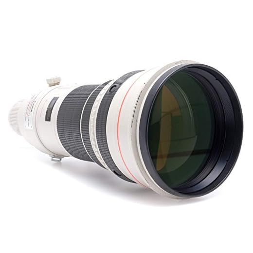 Canon 600mm F4 EF Lens for Professionals