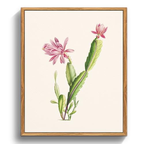 crmotu Botanical Framed Wall Art, Cactus Floral Canvas Prints, Tropical Plant Nature Wall Decor, Minimalist Vintage Pictures for Bedroom Bathroom Kitchen Desktop, Rustic Farmhouse Decor, 9x11 inch