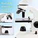 MicroMarvels Compound Binocular Microscope for Kids Adults Students,40X-2000X,Microscope Kits for Home Eduaction,Learning Kits(White/Black)