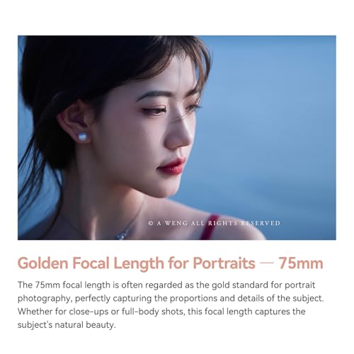 Objectif TTARTISAN AF 75 mm F2 grand angle d'ouverture portrait net pour Sony E
