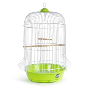 Prevue Hendryx SP31999G Classic Round Bird Cage, Green,1/2″