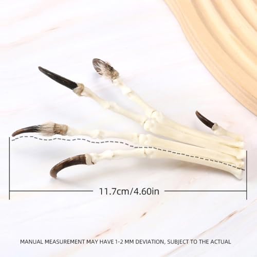 Image of 1PCS Handmade Copper Wire for Making Fox paw specimens, Collecting Gift Bone specimens Ornament