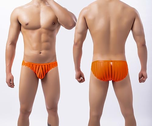Swbreety Men's Striped Bikini Briefs Bulge Pouch Underwear Low Waist Mesh Triangle Briefs4