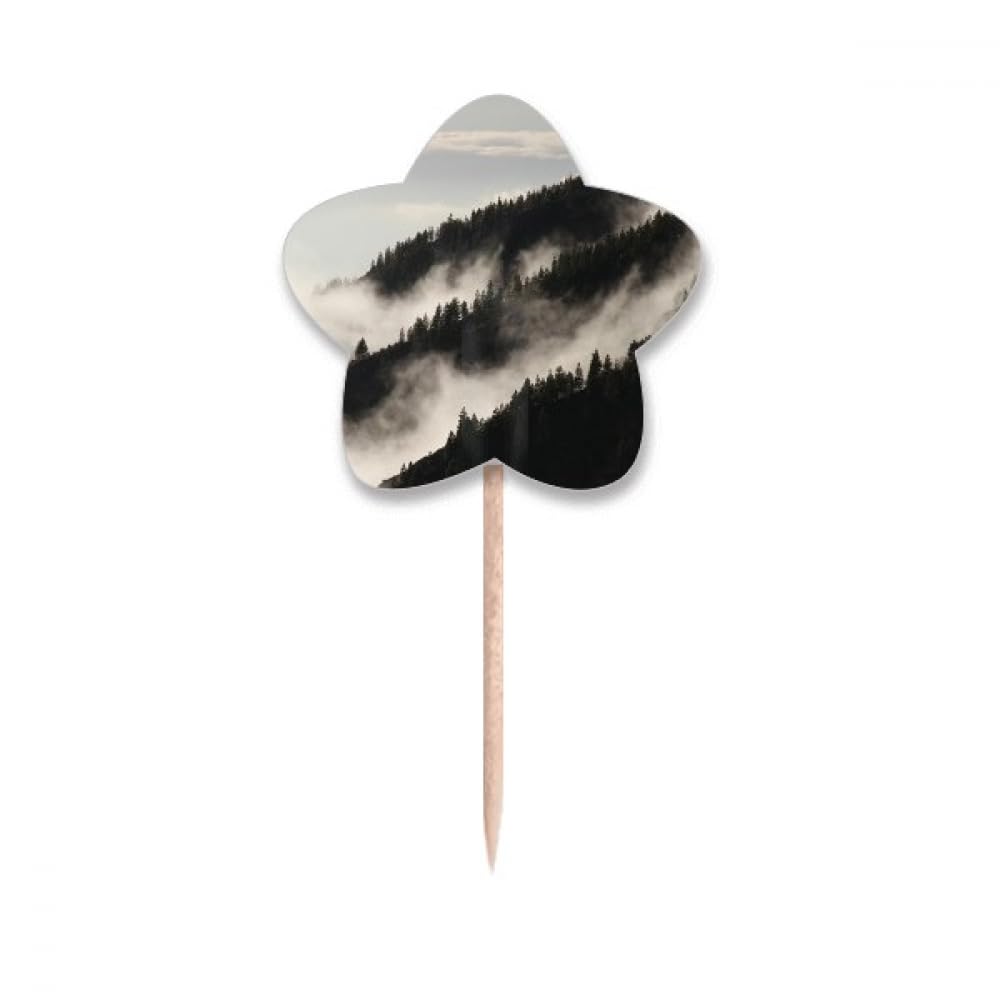 Cure-dents en forme de nuage et étoile pour décoration élégante de cupcakes