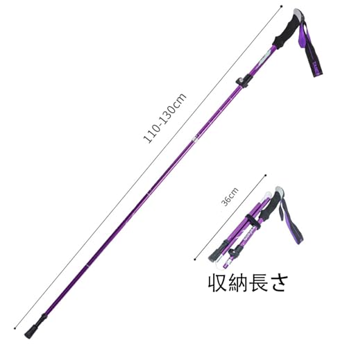 DREAM STYLE oRXgbN ܂肽ݎ5 \gbLO|[ y x ~ jp yʃA~ oRpXeBbN k Lbv nCLO RpNg  [P[Xtit (Violeti2pcsj)