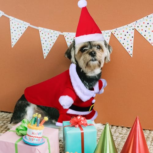 Disfraz de perro Santa Claus XL para invierno miniatura 4