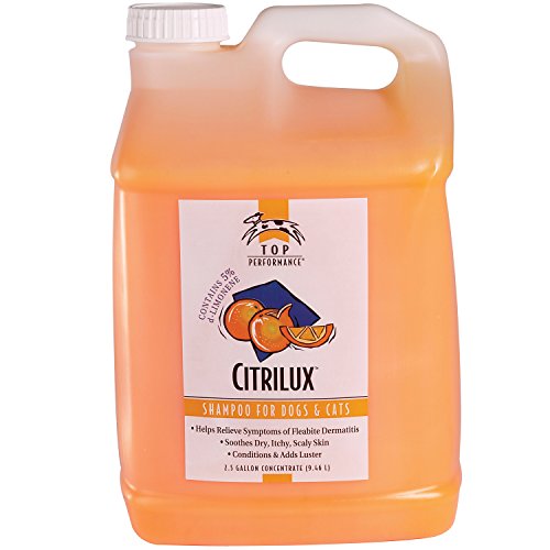 Image of Top Performance Citrilux Dog and Cat Shampoo, 2-1 /2-Gallon