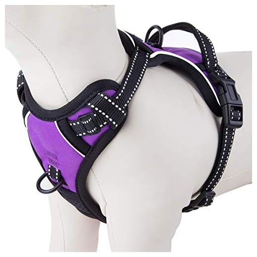 PoyPet No Pull Dog Harness Reflective Vest Harness | Dog Harness PHOEPET No Pull Dog Harness Medium Reflective Front Clip Puppy Vest with Handle,Adjustable 2 Metal Leash Attachment Hooks(M, Purple)