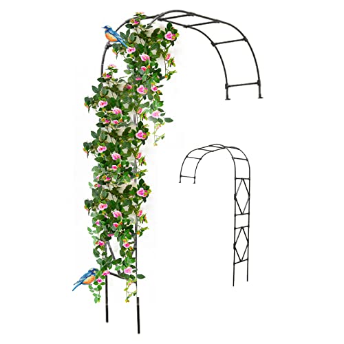 Arche de jardin en losange noir pour plantes grimpantes et tonnelle murale