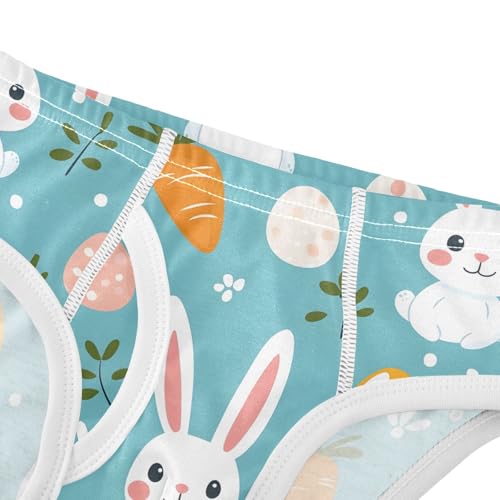 Cute Easter Bunny Rabbits Toddler Boy's Underwear 2T 202b90804
