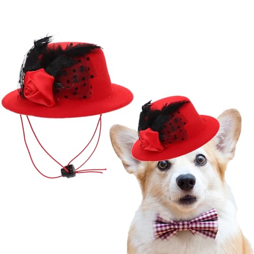 Sombrero Beavorty para perros tamaño pequeño