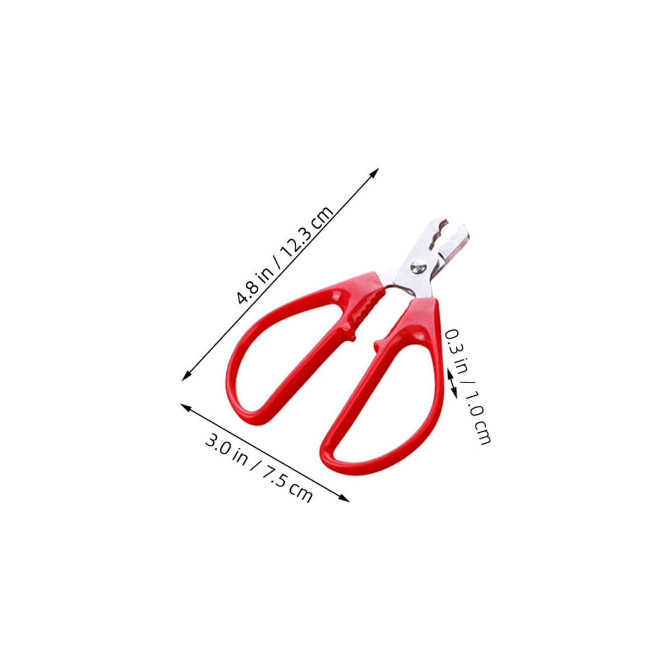 COLLBATH 3pcs Stainless Steel Nut Sheller Scissor Opener for Melon Sunflower Convenient Nut Cracking Tool Safe Easy to Use Sturdy Kitchen Gadget for Pistachios