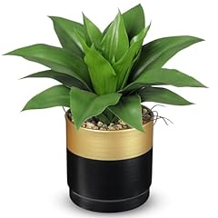 Green and Gray Agave Gold Black Vase