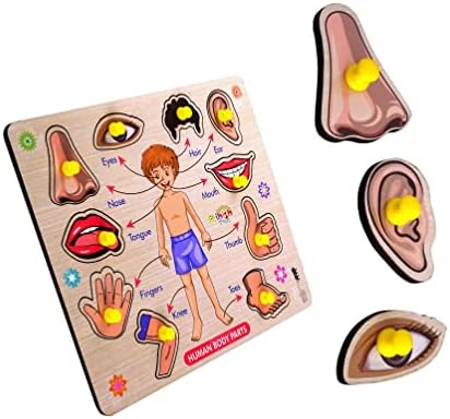 Lefan Body Part Puzzle Kids Wooden Toys for Kids 3 + Jigsaw Puzzles for Adults Baby Learning Toys Educational Toys for 2 Board Game