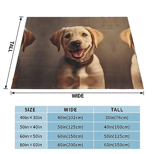 Couverture flanelle labrador douce idée cadeau maîtres de chien - 4