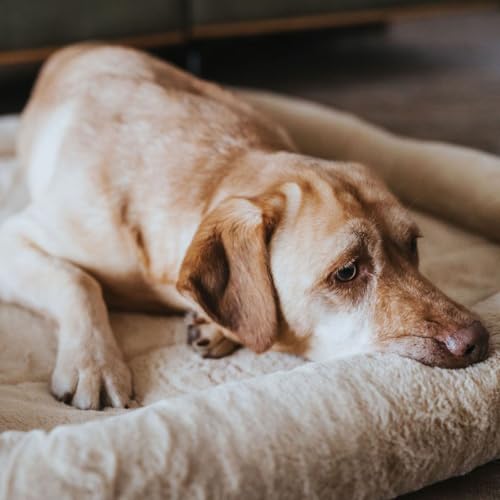 HUNTER Hundematte VERMONT COZY, komfortabel & gepolstert, erhöhter Rand, besonders weich & kuschelig, rutschhemmend, universell einsetzbar, waschbar, Farbe: beige, Größe: S