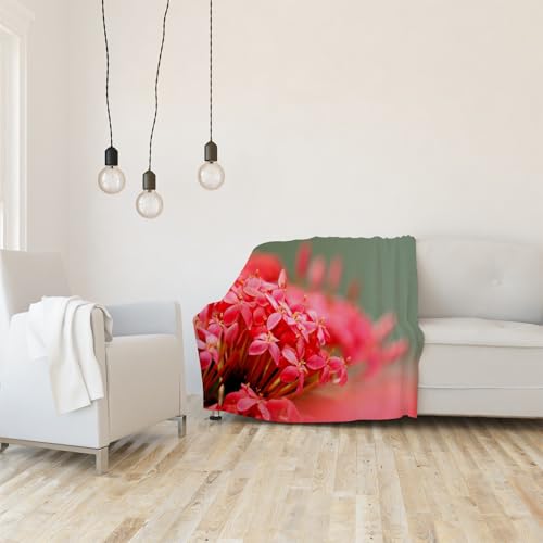 Plaid épais et doux de qualité supérieure à motif tulipes
