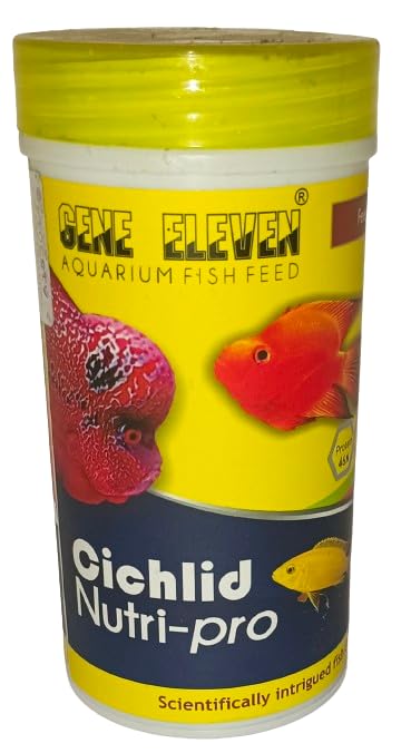 Jeffrey Gene Eleven Aquarium Fish Feed for Cichlid Pro, 100 gram (B0CW5VT47D) Amazon Price History, Amazon Price Tracker