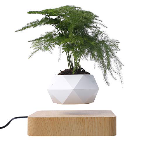 Vaso per Bonsai Aria Levitante, Levitazione Magnetica Galleggiante...