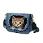 Cat Pattern
