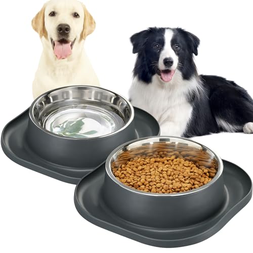 Spill Proof Dog Bowl The 15 best products compared Wild Explained