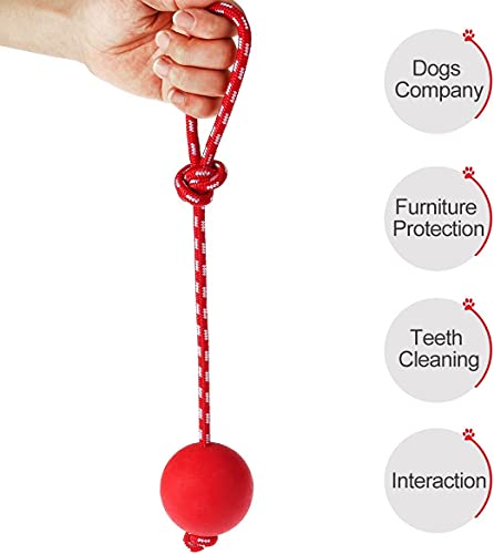 Enzege 3 Stück Hundespielzeug Ball, Naturkautschuk Wurfball Hund mit Seil, Schleuderball für Hunde