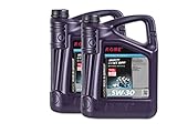BMW Longlife-04 10 (2x5) Liter ROWE HIGHTEC MULTI SYNT DPF SAE 5W-30