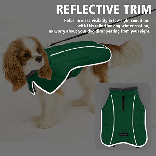 Image of Fragralley Dog Coat Large, Waterproof Dog Jacket with Warm Fleece Lining, Adjustable Reflective Dogs Winter Coat, Turtleneck Pet Coats for Cold Weather (Green XL)