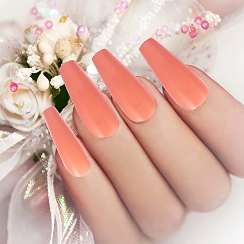 Healvian 6 Caixas usando cortador unhas beleza prática claro forma kit dedo unhas postiças unhas gel