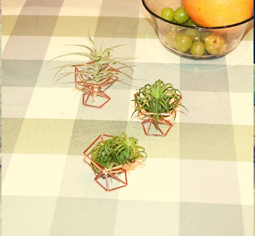 Nwsrayu Geometric Air Plant Holder Airplants Rack Metal Plants Stand Planter Shelves Himmeli Living Decor Tillandsia Pot Containers (Rose Gold 3Pcs) #TOP6