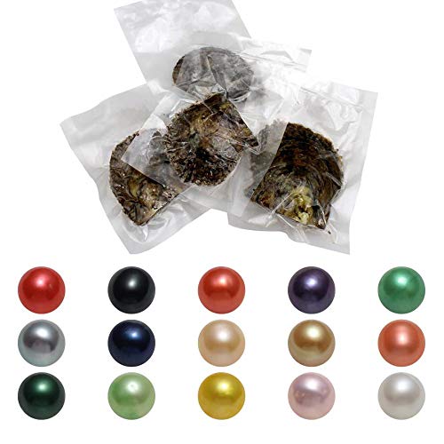 Gelory 7-8mm 50PCs/Lot mujeres joyería redonda perla decoración embalaje al vacío individualmente envuelto mejillón una ostra con perlas vivas buen regalo