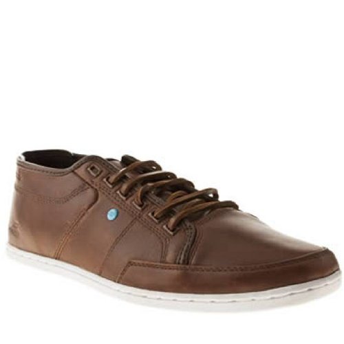 boxfresh sparko brown