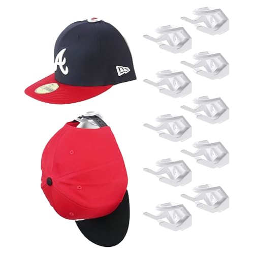 HIRAISM Xq| LbvnK[ tbN  fBXvC 10Zbg (zCg)